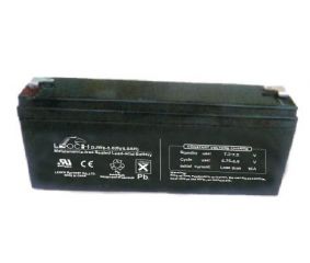 Leoch DJW 6-5,0